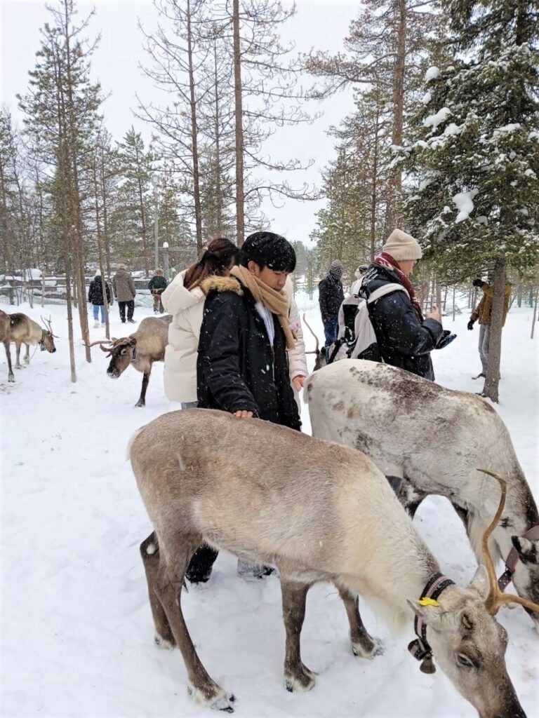 WUIC Exchange students in Russia see the Aurora for the first time