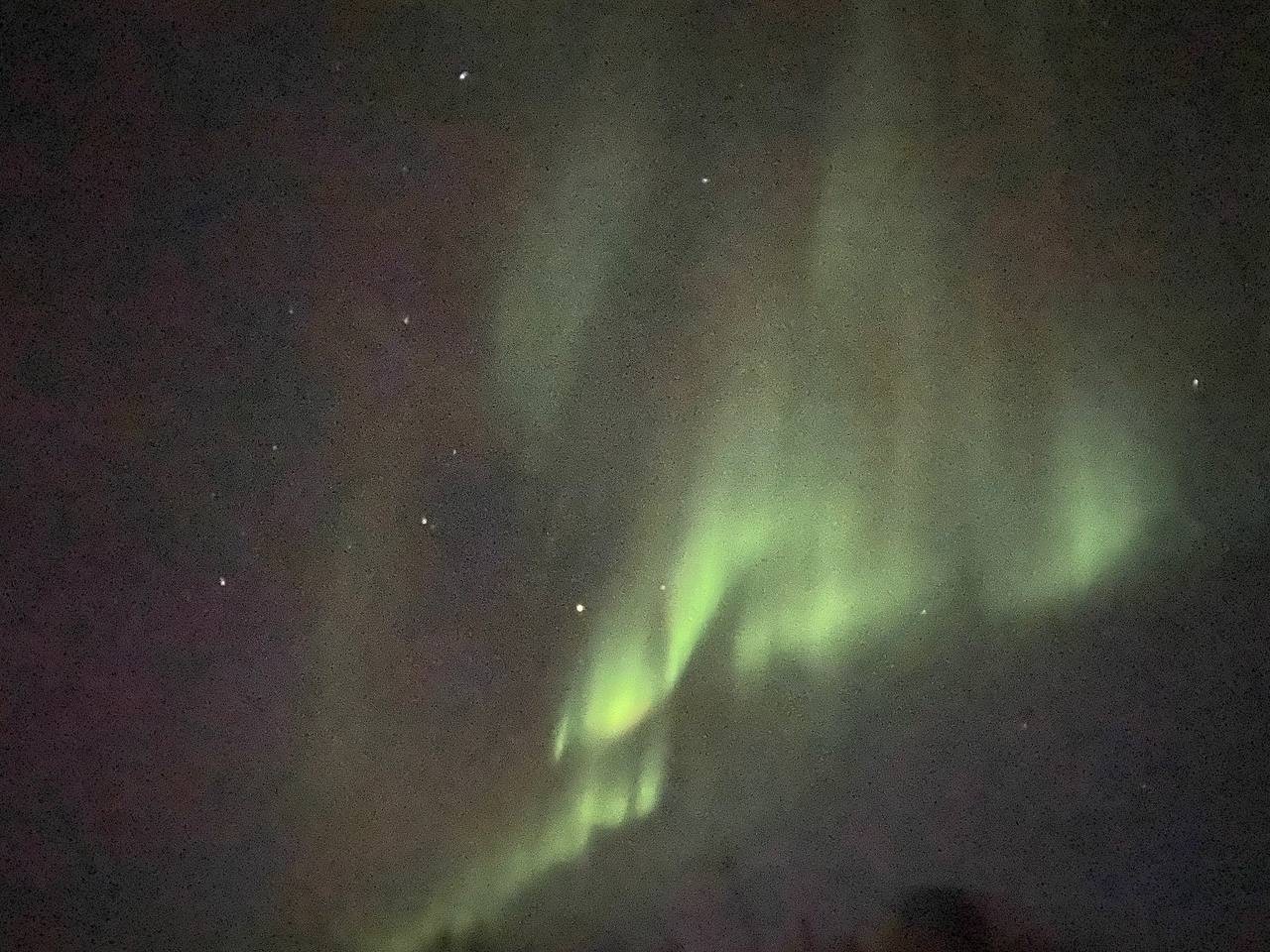WUIC Exchange students in Russia see the Aurora for the first time