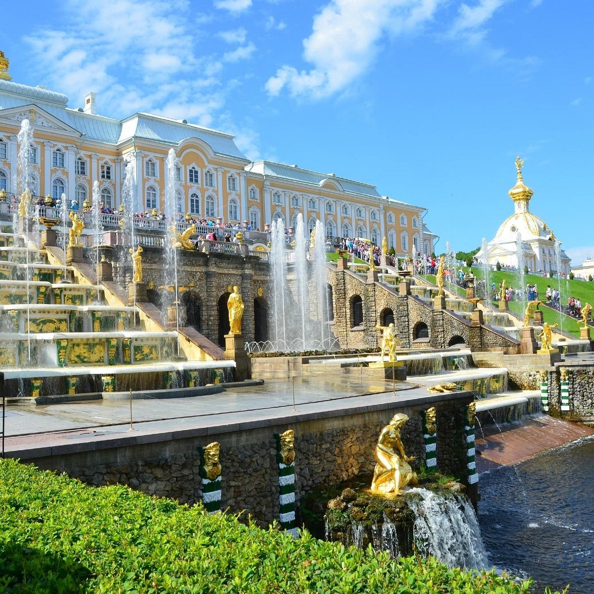 WUIC Students Visit Peterhof Palace in St. Petersburg