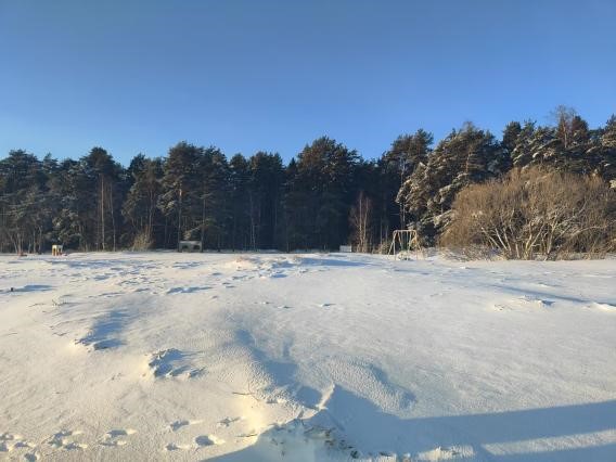 :walailak students share unforgettable exchange experiences in Russia